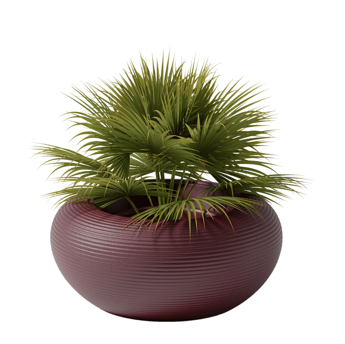 Nami Planter by Stefano Giovannoni - Milk Concept Boutique