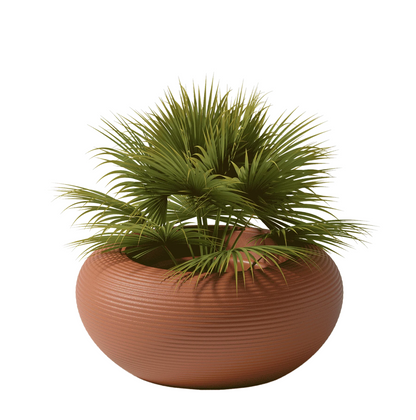 Nami Planter by Stefano Giovannoni - Milk Concept Boutique