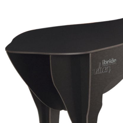 Sultan stool & coffee table by Ibride