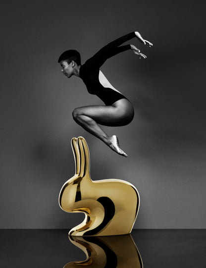 Rabbit Chair Metal Finish by Stefano Giovannoni - Milk Concept Boutique