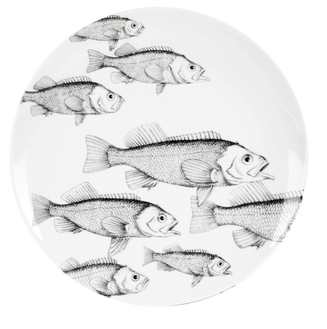 Fornasetti set of 6 wall plates Fish & Pesci - Milk Concept Boutique