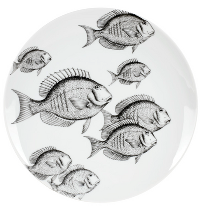 Fornasetti set of 6 wall plates Fish & Pesci - Milk Concept Boutique