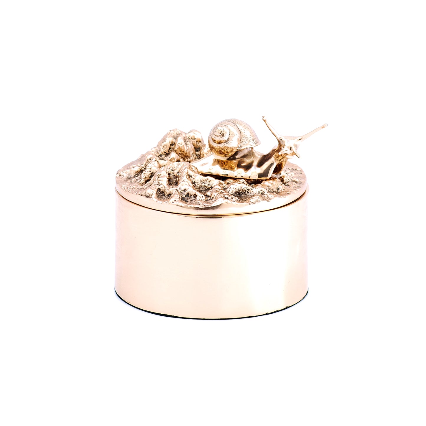 REM Box L'escargot Droit on Top by Fakasaka - Milk Concept Boutique