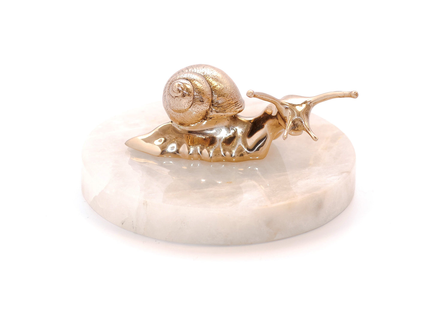 L''ESCARGOT DROITE Paper Weight by Fakasaka - Milk Concept Boutique