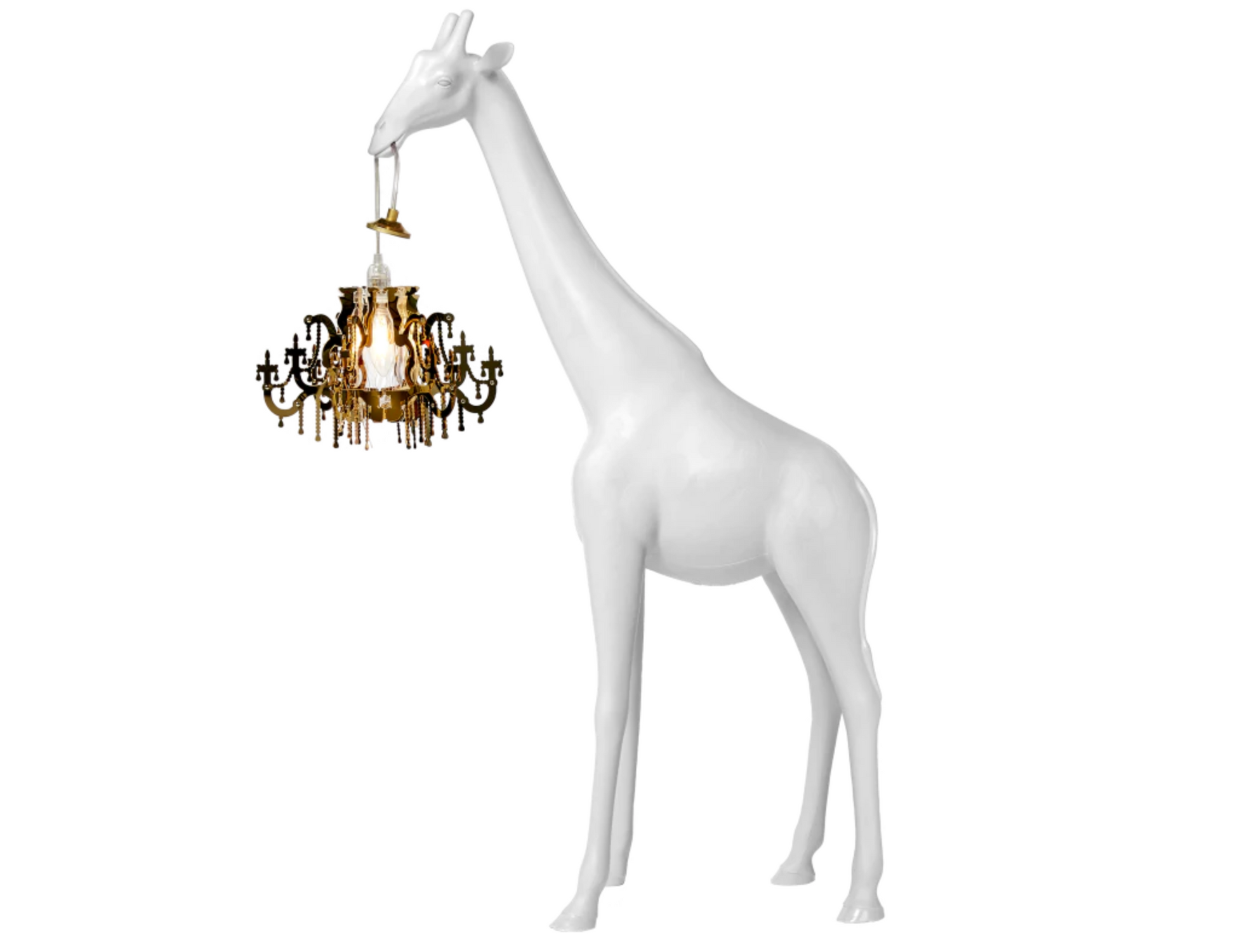 GIRAFFE IN LOVE XS by Marcantonio - Milk Concept Boutique