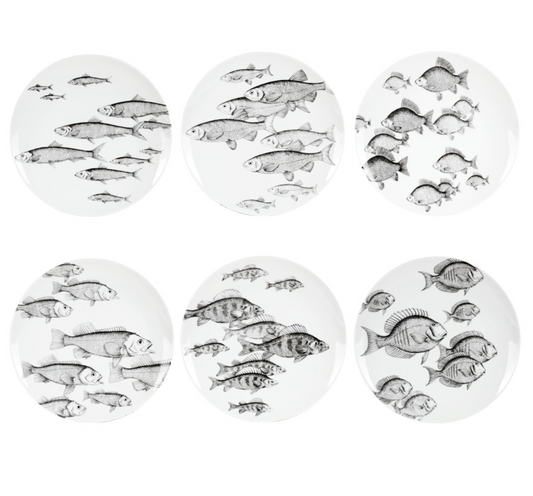 Fornasetti set of 6 wall plates Fish & Pesci - Milk Concept Boutique