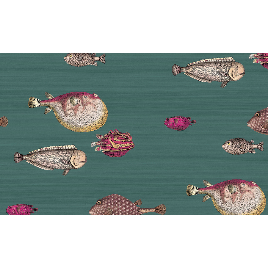 ACQUARIO Wallpaper - Milk Concept Boutique